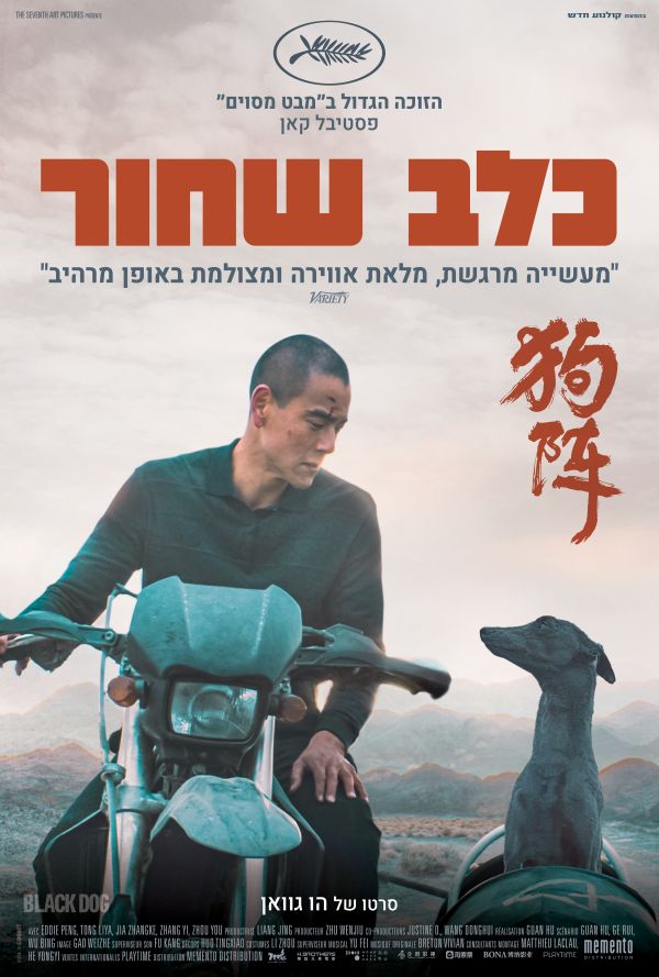 כלב שחור poster